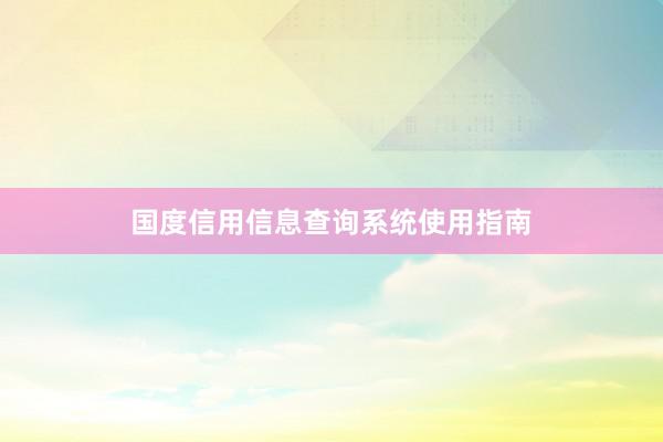 国度信用信息查询系统使用指南