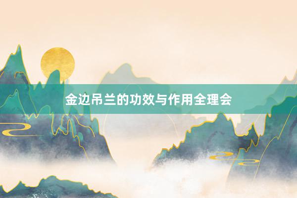 金边吊兰的功效与作用全理会